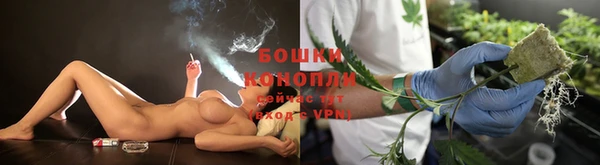 сатива Абдулино
