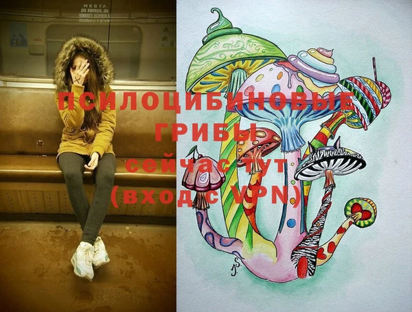 сатива Абдулино