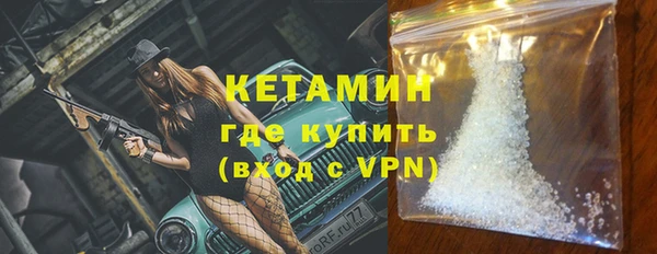 шишки Абаза