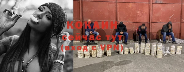 шишки Абаза