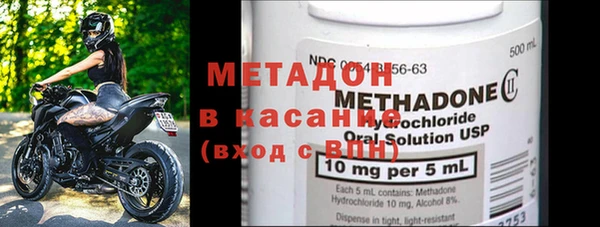 стаф Алзамай