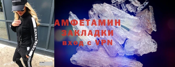 шишки Абаза