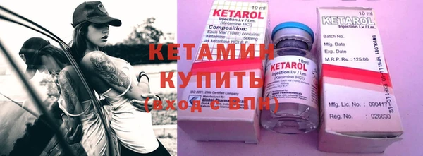 шишки Абаза
