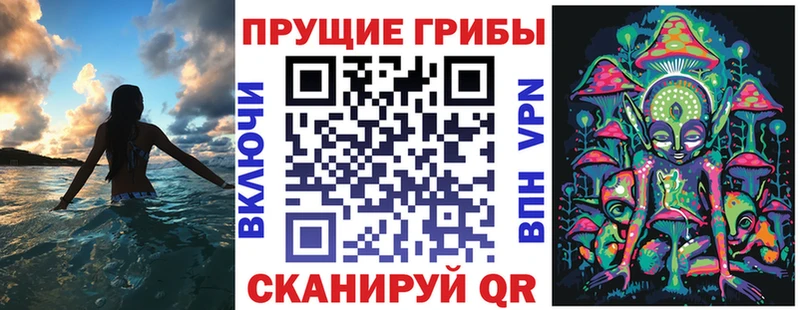 Галлюциногенные грибы Psilocybe  Зубцов 